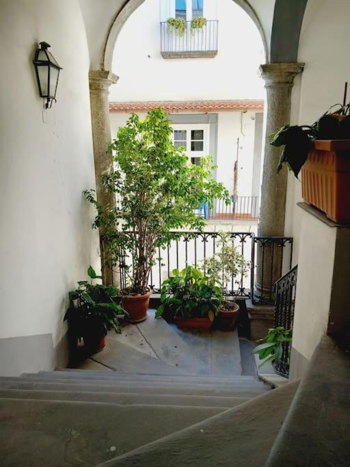 Nilo 28 House Apartment Napoli Bagian luar foto